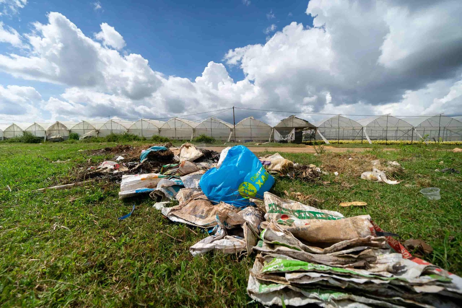 Tmahanaim Limited - Recycling Agro-farm, Agriculture/Recovery of Sorted Materials Tmahanaim Limited - Recycling Agro-farm, Agriculture/Recovery of Sorted Materials