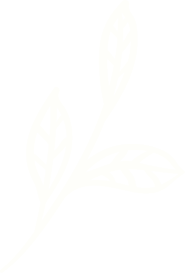 banner-leaf-right