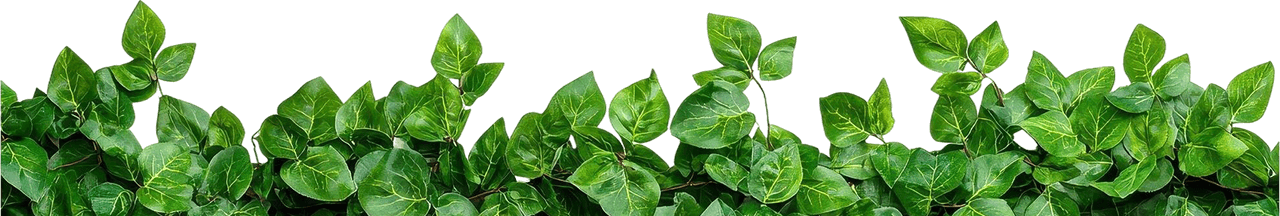 banner-leaves