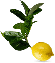 banner-lemon-2